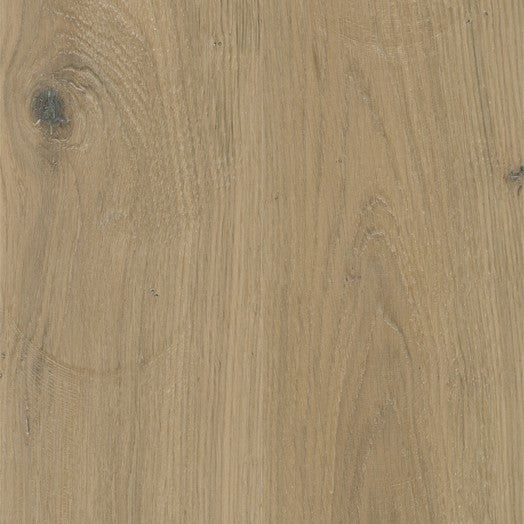 ACCENT Sherwood