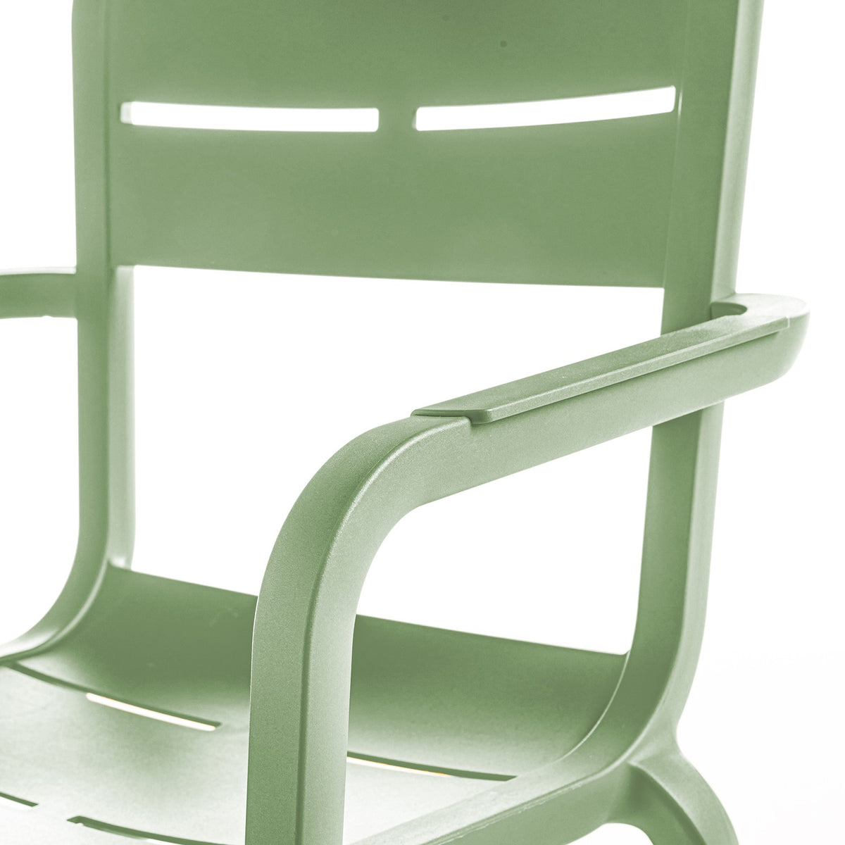 #couleur_Vert Tender