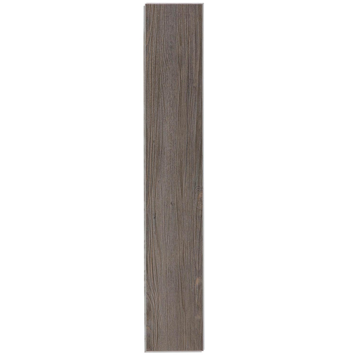 #couleur_Dark Oak
