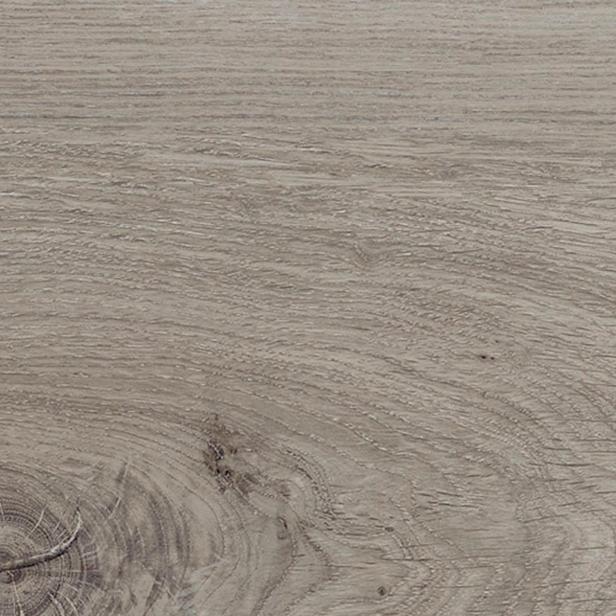 #couleur_Grey Oak
